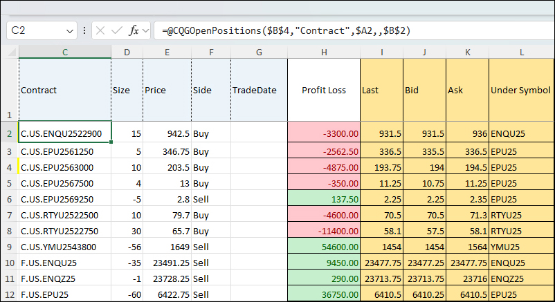 excel_displaying_open_options_positions_main.jpg